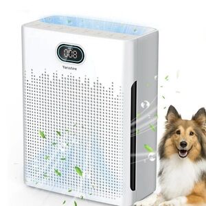 TeraAire Air Purifier with Digital Display